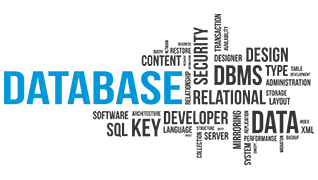 Database